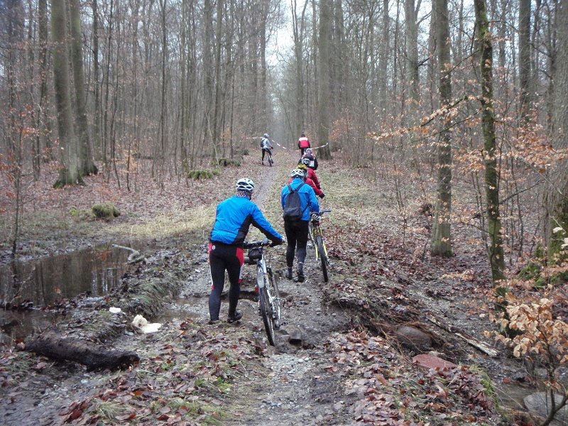 Waldtour 043